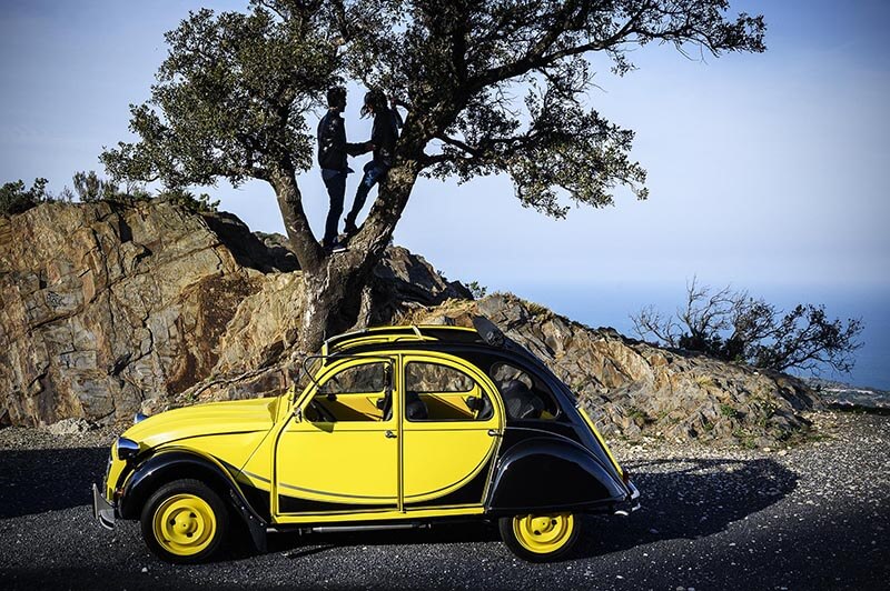 Romantique, Amour, Exclusif