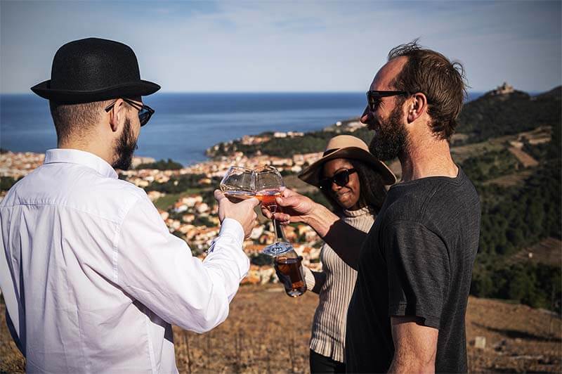 Authentique, Vins, Vignobles