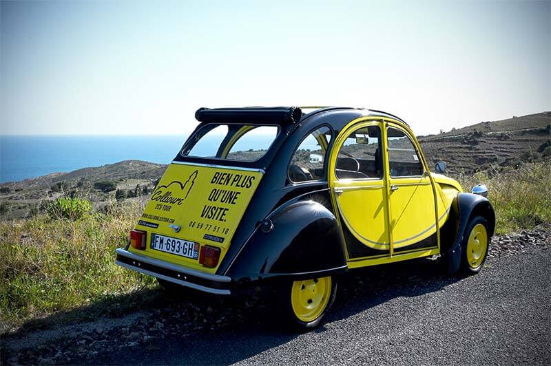 Authentique, Vins, Vignobles